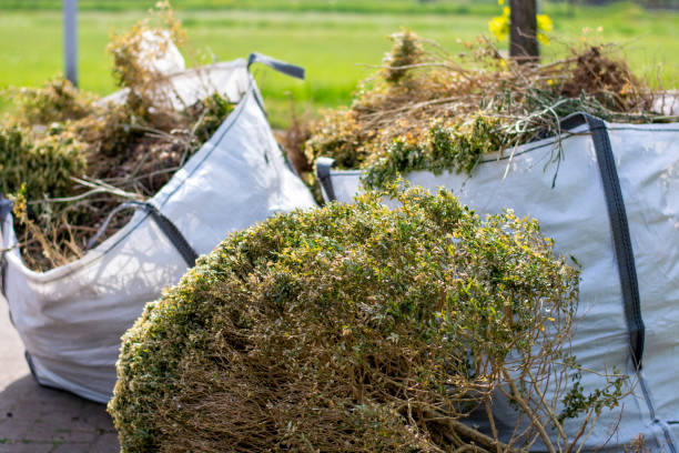 Demolition Debris Removal in Madison, NC